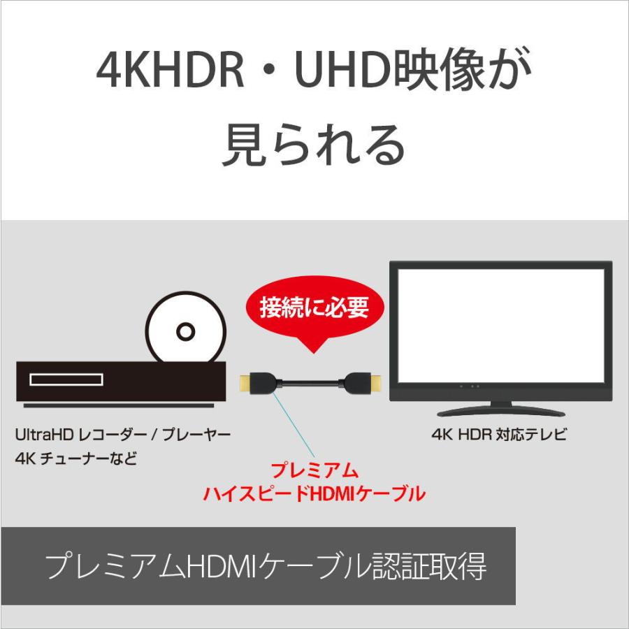 ソニー Premium HDMIケーブル (1.0m) SONY DLC-HX10XF 返品種別A