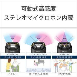 ソニー リニアPCM対応ICレコーダー16GB内蔵+(外部SD/ SDHC/ SDXCスロット搭載) SONY PCM-D10 返品種別Aの画像