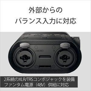 ソニー リニアPCM対応ICレコーダー16GB内蔵+(外部SD/ SDHC/ SDXCスロット搭載) SONY PCM-D10 返品種別Aの画像