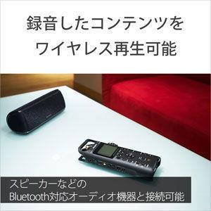 ソニー リニアPCM対応ICレコーダー16GB内蔵+(外部SD/ SDHC/ SDXCスロット搭載) SONY PCM-D10 返品種別Aの画像
