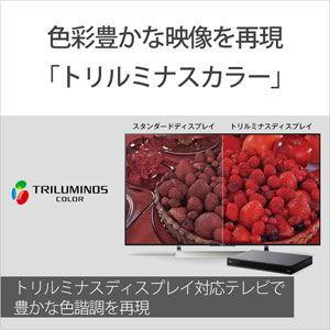 ソニー 4K Ultra HD ブルーレイプレーヤー(再生専用機) SONY UBP-X800M2 返品種別A｜joshin｜07