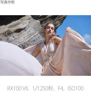 ソニー デジタルカメラ「Cyber-shot RX100M7G」(シューティンググリップキット) RX100VII DSC-RX100M7G 返品種別Aの画像