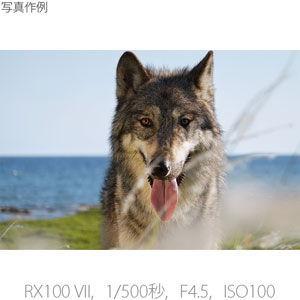 ソニー デジタルカメラ「Cyber-shot RX100M7G」(シューティンググリップキット) RX100VII DSC-RX100M7G 返品種別Aの画像
