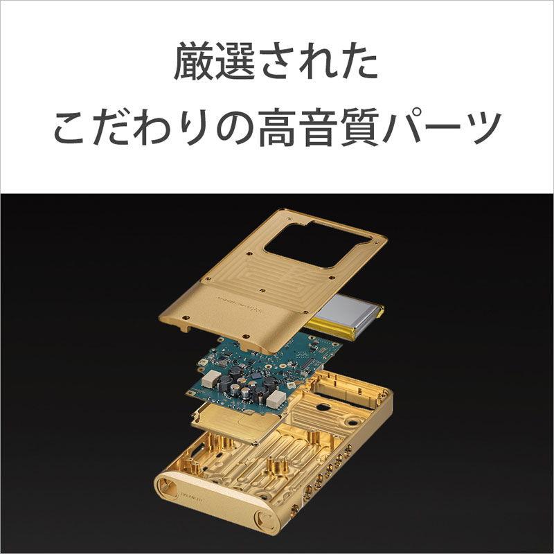 ソニー ウォークマン WM1ZM2 256GB SONY Walkman NWシリーズ NW-WM1ZM2 返品種別A｜joshin｜05