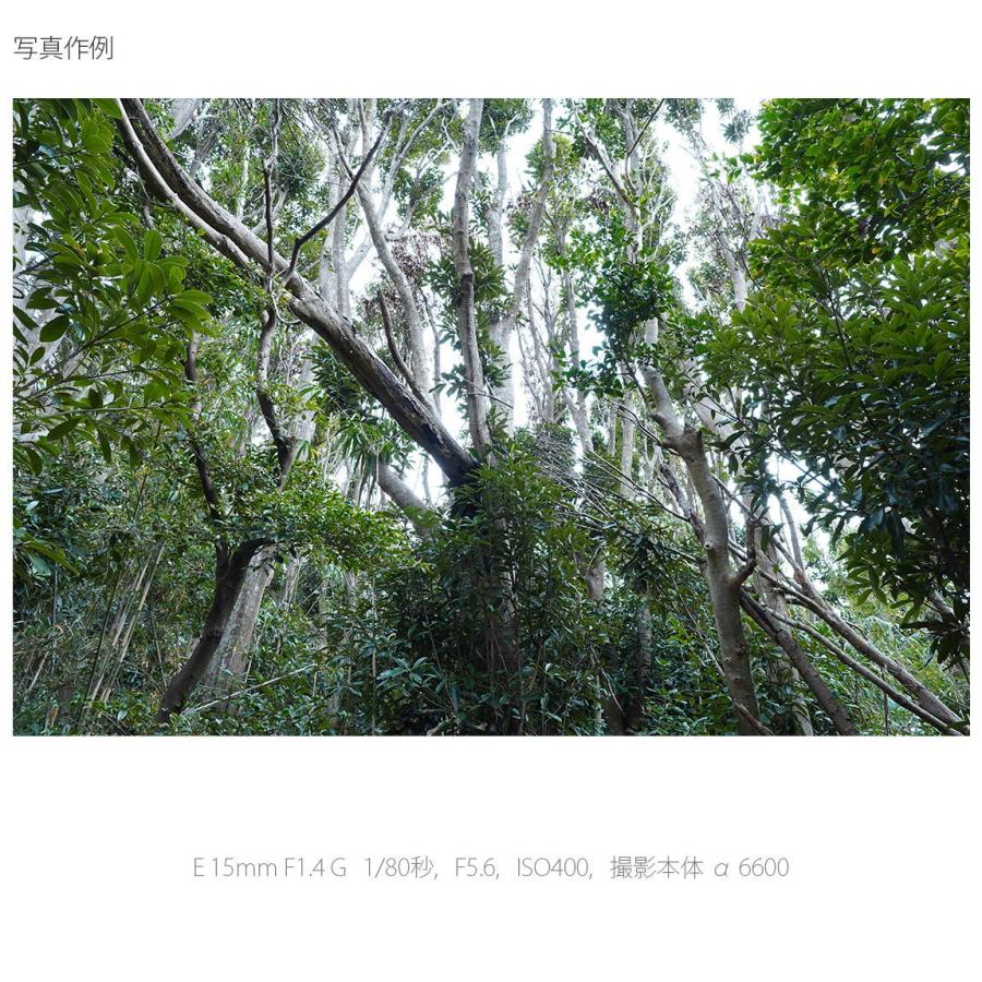 ソニー E 15mm F1.4 G ※Eマウント用レンズ(APS-Cサイズミラーレス用) SEL15F14G 返品種別Aの画像