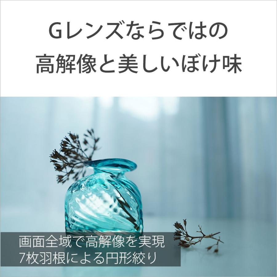 ソニー E 15mm F1.4 G ※Eマウント用レンズ(APS-Cサイズミラーレス用) SEL15F14G 返品種別Aの画像