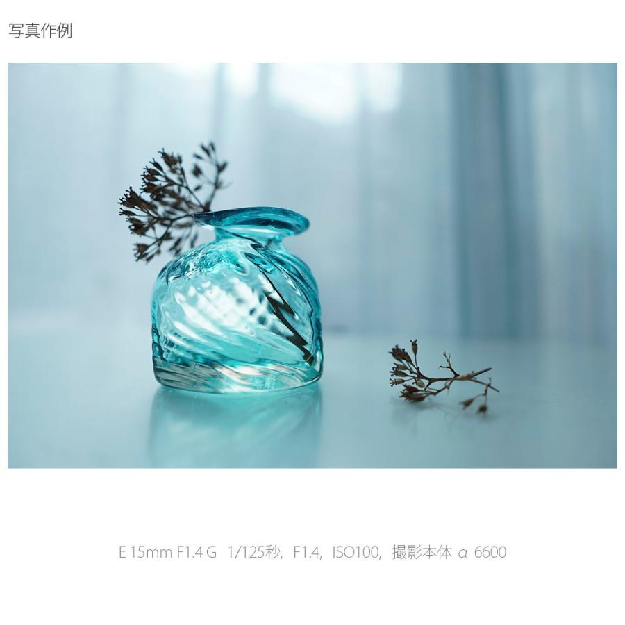 SONY（ソニー） E 15mm F1.4 G ※Eマウント用レンズ(APS-Cサイズミラー