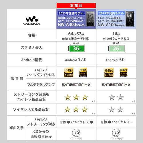 ソニー ウォークマン A300シリーズ 32GB(ブルー) SONY Walkman NW-A306-L 返品種別A｜joshin｜10