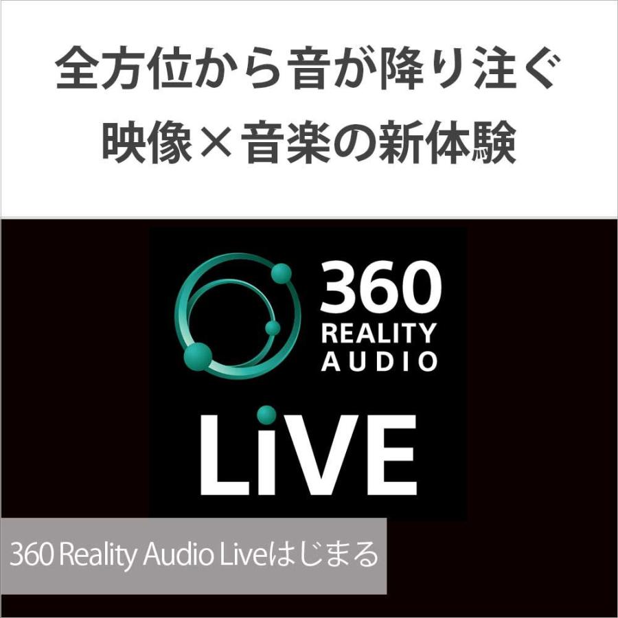 ソニー 完全ワイヤレス Bluetoothイヤホン SONY LinkBuds(リンクバッズ) WF-L900UCH 返品種別A｜joshin｜03