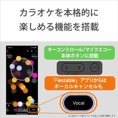 ソニー Bluetooth対応ワイヤレススピーカー SRS-XV500-BC 返品種別A｜joshin｜12