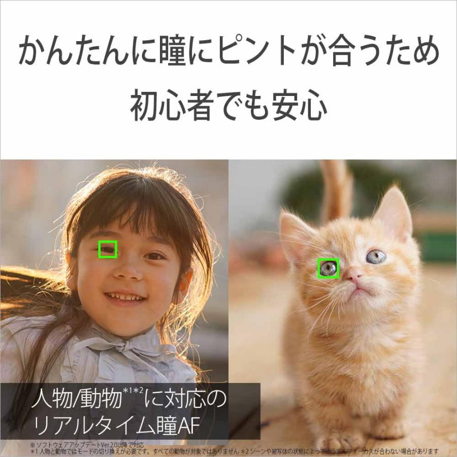 ソニー ミラーレス一眼カメラ「α6400」パワーズームレンズキット(シルバー) SONY ILCE-6400K-S 返品種別Aの画像