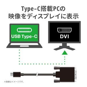 エレコム USB Type-C用DVI変換ケーブル 2.0m(ブラック) CAC-CDVI20BK 返品種別A｜joshin｜02