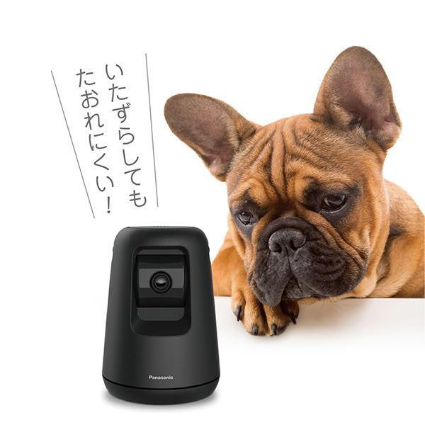 Panasonic HDペットカメラ KX-HDN215-K Panasonic HDペットカメラ KX-HDN215-K｜ kikito[キキト