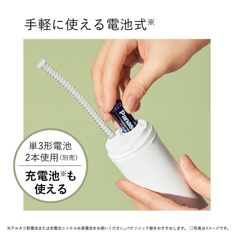 Panasonic パナソニック 口腔洗浄機器(青) ジェットウォッシャー
