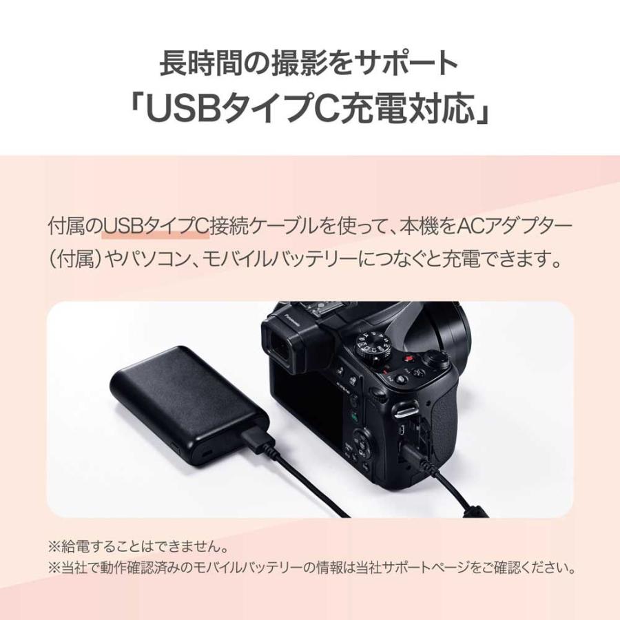 【にゃん吉様】Panasonic LUMIX FZ85D 美品・即使用可セット Digital camera Panasonic DC-FZ85D-K LUMIX FZ85D Japan Import