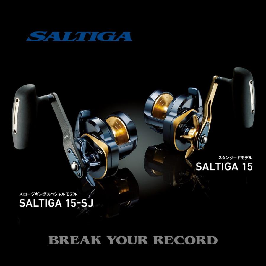 メール便無料】ダイワ 22 ソルティガ スロージギングスペシャルモデル