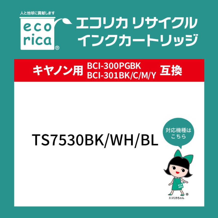 エコリカ ［キヤノン BCI-301+300/ 5MP 互換］リサイクルインクカートリッジ(5色パック) ecorica ECI-C301-5P 返品種別A | エコリカ | 01