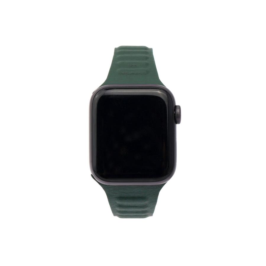 ウェアプラネット Apple Watch SE/Series 8/7/6/5/4/3/2/1[41mm 40mm 38mm] Slim Line マグネットリンクバンド(フッカーズグリーン)WP23201AWGR 返品種別A｜joshin｜02