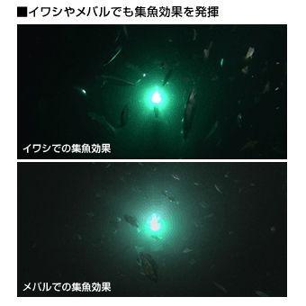 ハピソン 乾電池式 LED水中集魚灯 返品種別A_2
