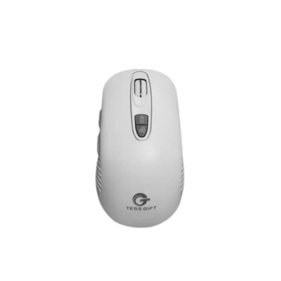 TESS GIFT AI ライティングマウス 音声翻訳＆音声文字起こし＆音声検索