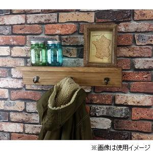 アクアリデオ イージーシェルフ＆フック 壁美人 棚+フック(ホワイト