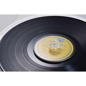 アルテ レコードクリーナー“クリーニングターンテーブル” arte RC-T