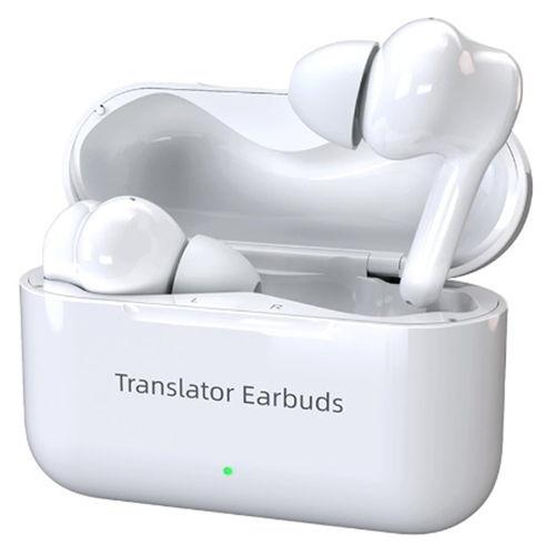 売れ筋 あす楽対応  【4580399430566-35-43896】 限定デザイン