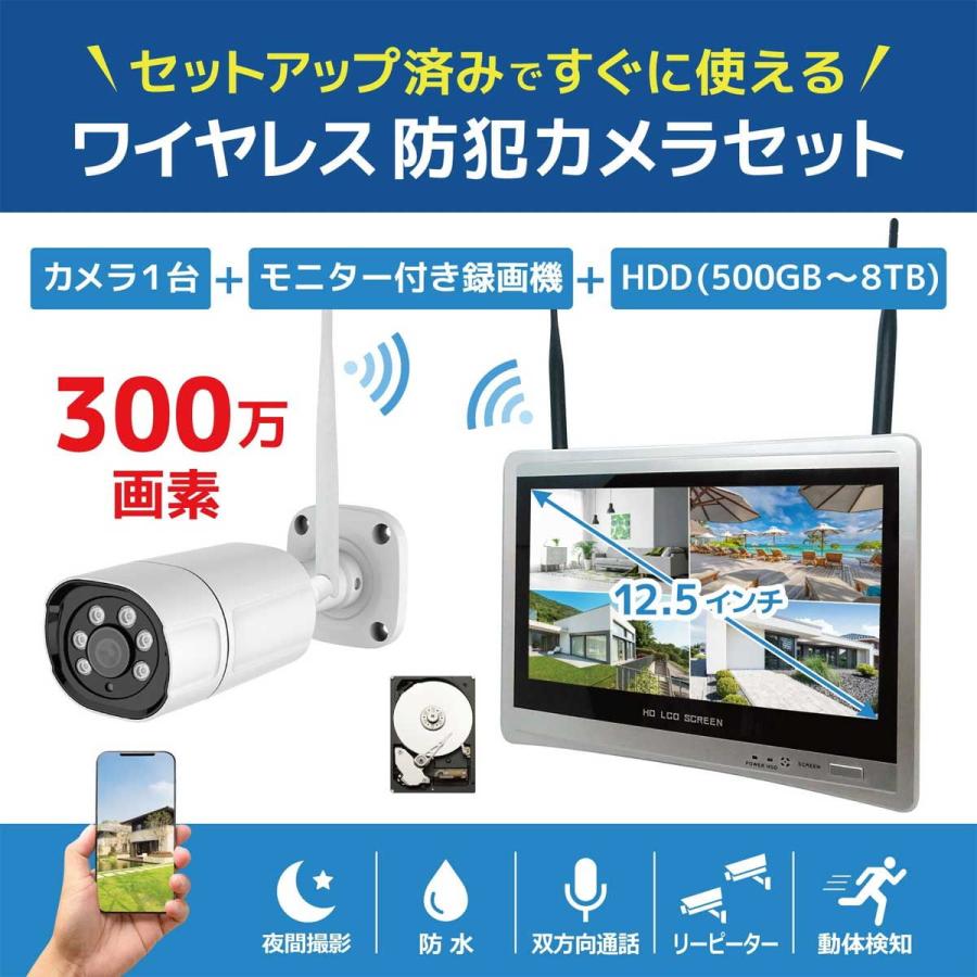 ブロードウォッチ 12.5インチLCD一体型ワイヤレス防犯カメラセット
