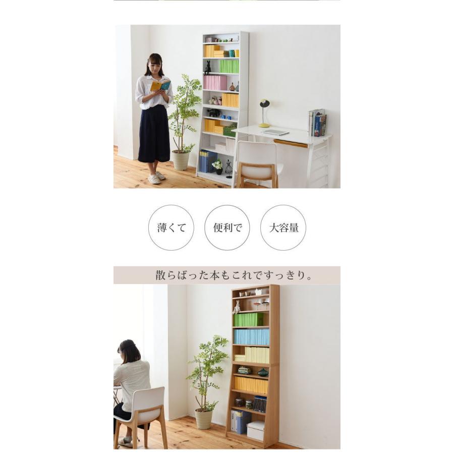 JK-PLAN（ジェイケイ・プラン） 1cmピッチ大収納ラック幅60(ナチュラル