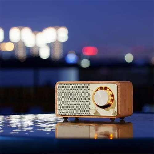 サンジーン Sangeanチェリー WR-301 Cherry FMラジオ・Bluetoothスピーカー（チェリー）【FM専用