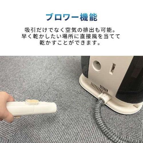 Take-One カーペットクリーナー Take-one CT100 返品種別A