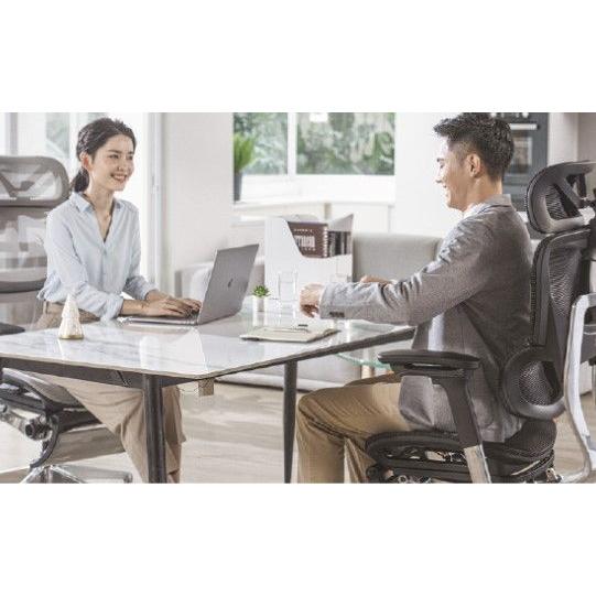 COFO COFO(コフォ) Chair Premium(ブラック・サイズ:幅66×奥行 COFO COFO(コフォ) Chair Premium(ブラック・サイズ:幅66×奥行