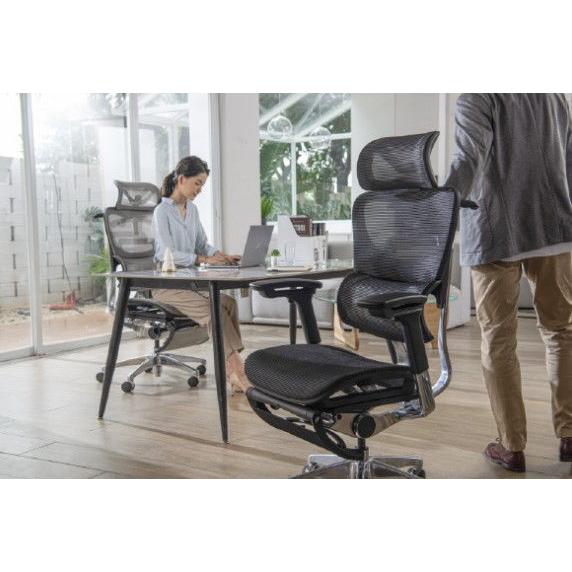 COFO COFO(コフォ) Chair Premium(ブラック・サイズ:幅66×奥行 COFO COFO(コフォ) Chair Premium(ブラック・サイズ:幅66×奥行