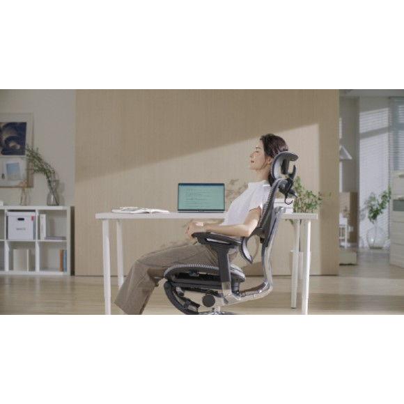 COFO COFO(コフォ) Chair Premium(ブラック・サイズ:幅66×奥行 COFO COFO(コフォ) Chair Premium(ブラック・サイズ:幅66×奥行
