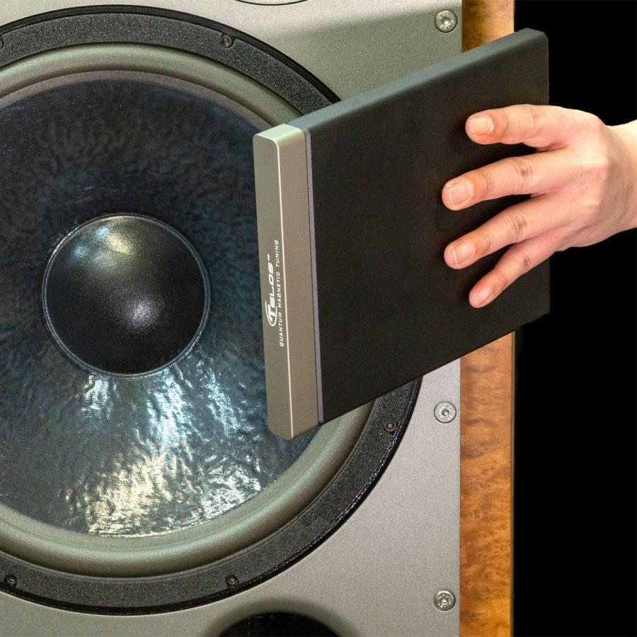 テロス 広帯域消磁器“Quantum Magnetic Tuning” TELOS Audio Design QUANTUM-MT 返品種別Aの画像