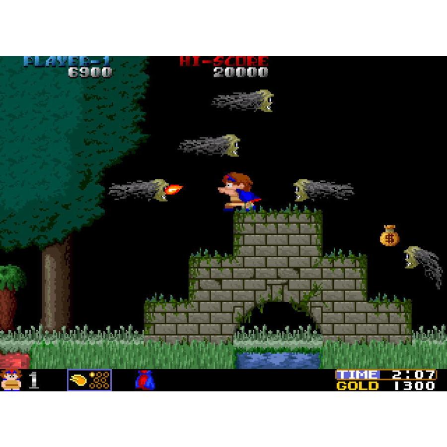 エムツー (PS4)飛翔鮫！鮫！鮫！ -TOAPLAN ARCADE GARAGE- 返品種別B