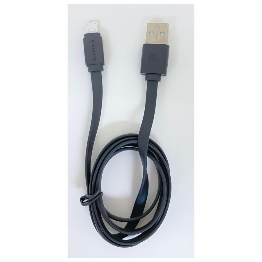 Gigastone Gigastone(ギガストーン) 充電専用 iPhone/ iPad対応 Gigastone Gigastone(ギガストーン) 充電専用 iPhone/ iPad対応