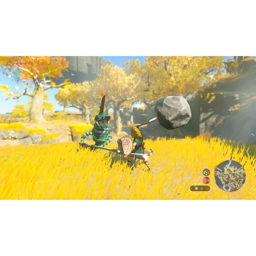 任天堂 (Switch)ゼルダの伝説 ティアーズ オブ ザ キングダム 通常版 返品種別B｜joshin｜13