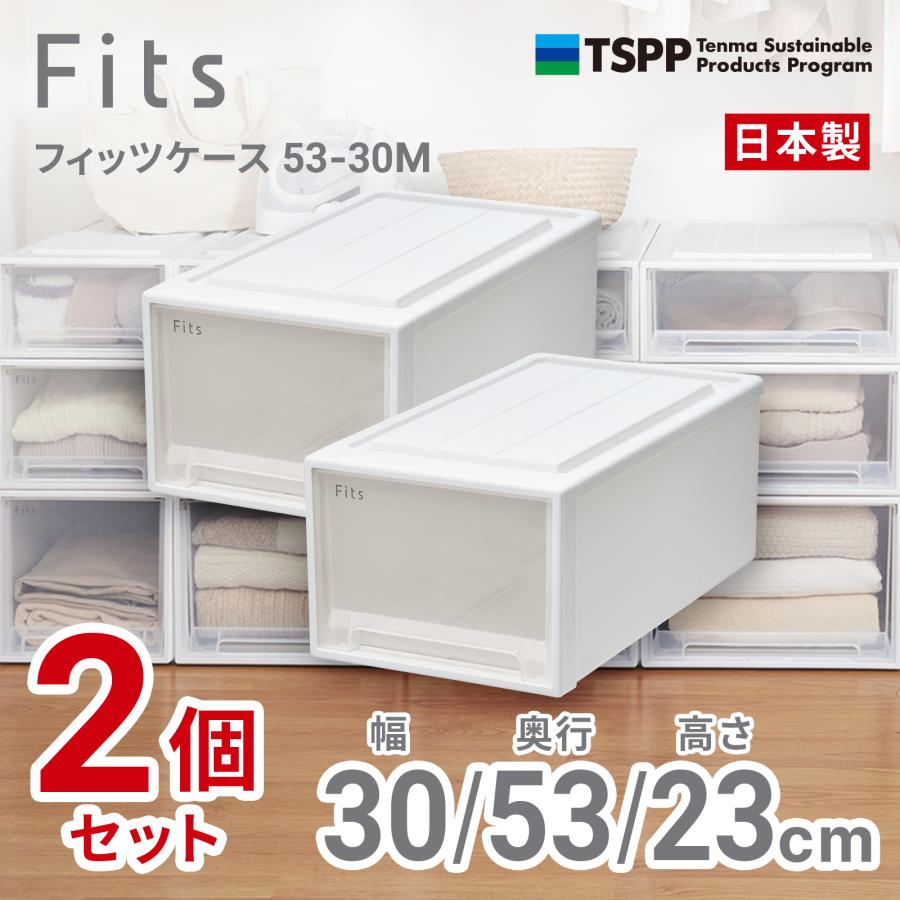 天馬 (2個組)フィッツケース クローゼット 幅30×奥行53×高さ23cm