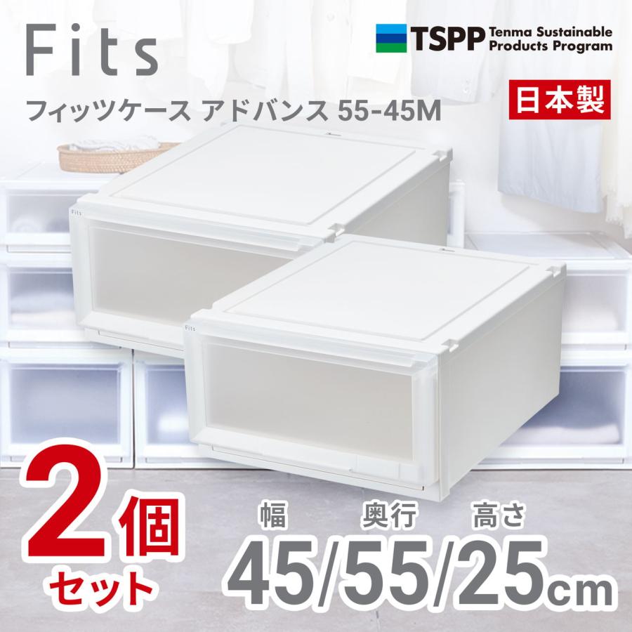 天馬 (2個組)フィッツケース アドバンスクローゼット収納 幅45×奥行55