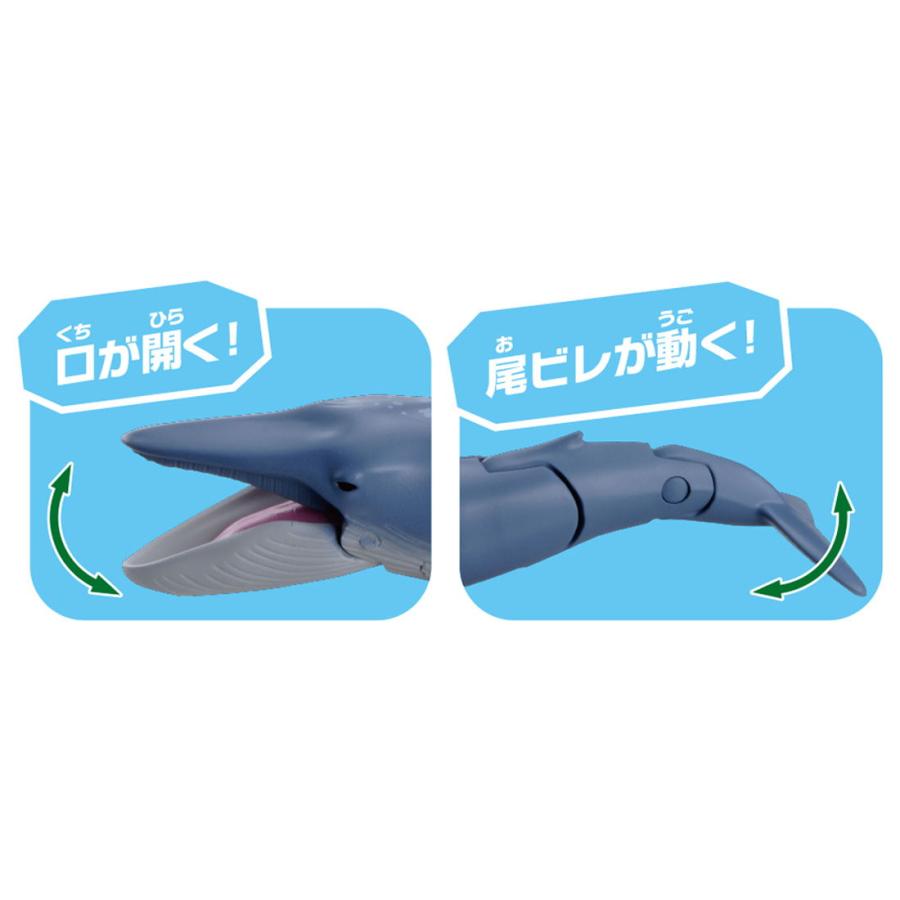 タカラトミー アニア AL-23 シロナガスクジラ(水に浮くVer.)アニア 返品種別B｜joshin｜02