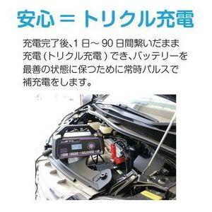 大自工業 セレクト式自動パルス充電器 MP-230 返品種別Aの画像