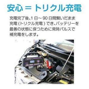 大自工業 セレクト式自動パルス充電器 MP-230 返品種別A｜joshin｜05