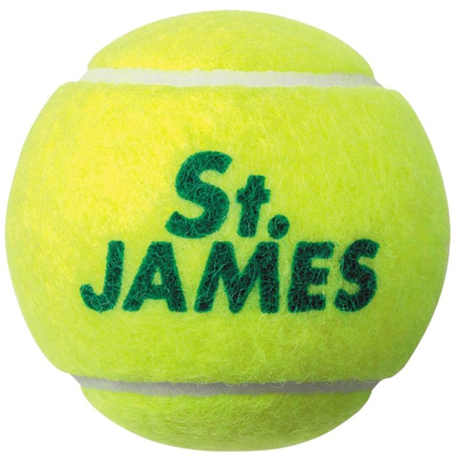 ダンロップ (4球入りボトル×15缶セット)硬式テニスボール St.JAMES(セント・ジェームス) 返品種別A｜joshin｜03