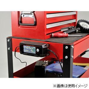 DAYTONA（デイトナ） バッテリー充電器 ディスプレイバッテリー