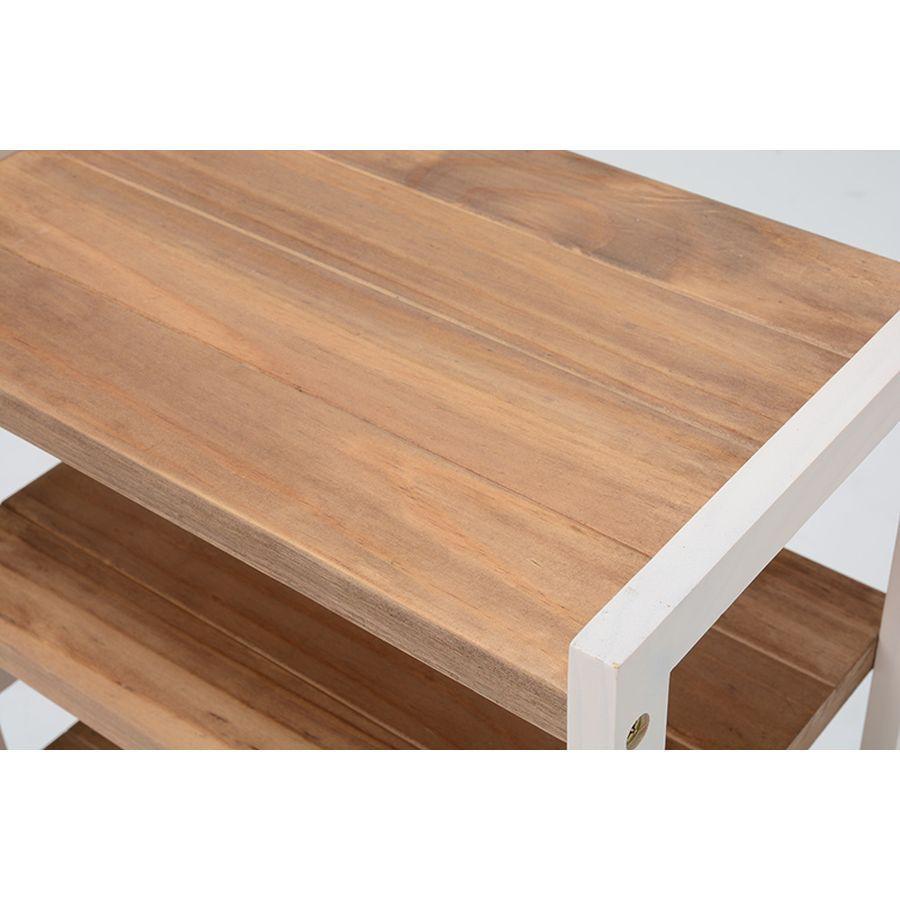 安城御影 掛け軸 親鸞聖人 木箱付き 送料無料