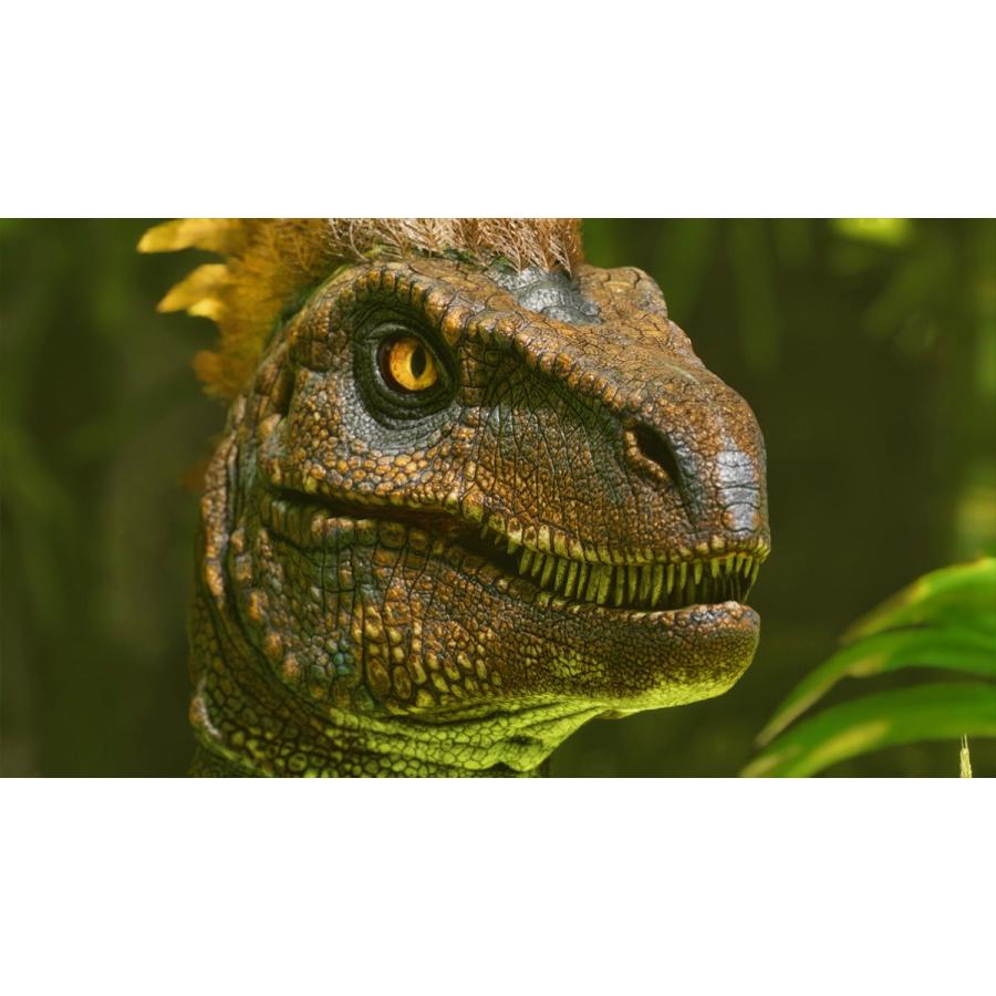 激レア美品　国産Noah's ark SPARK SID 152.5 オガサカ 激レア美品国産Noah's ark SPARK SID 152.5 オガサカ