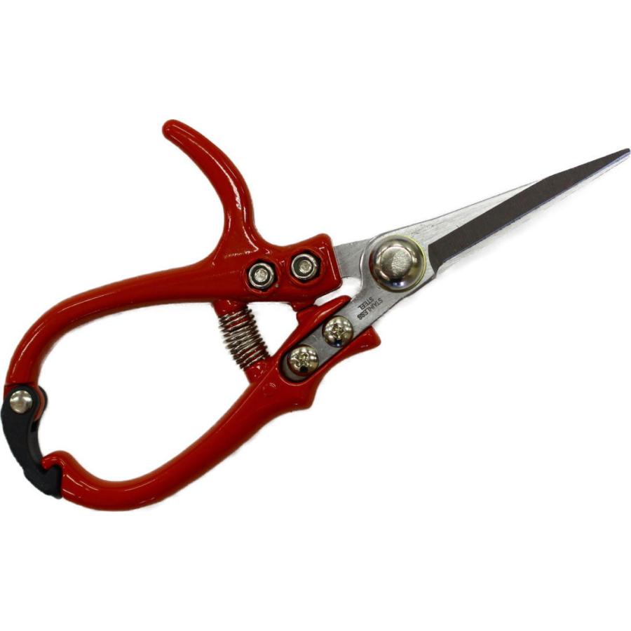 大感謝セール Owl 小さな芽切はさみ 170mm 556 返品種別a Rmb Com Ar