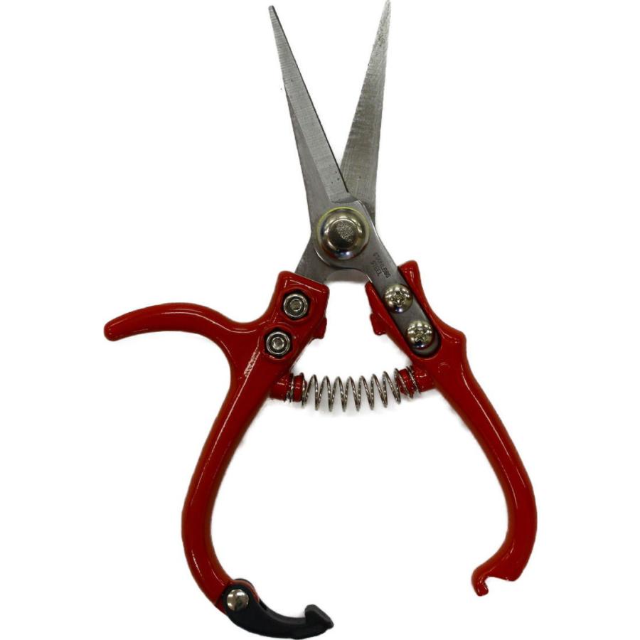 大感謝セール Owl 小さな芽切はさみ 170mm 556 返品種別a Rmb Com Ar