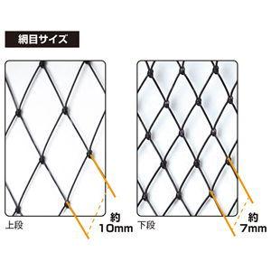 プロックス 磯替網(2段)適合枠55-60cm(黒) PROX PX76755K 返品種別A|Joshin web PayPayモール店|01